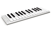 Xkey 25